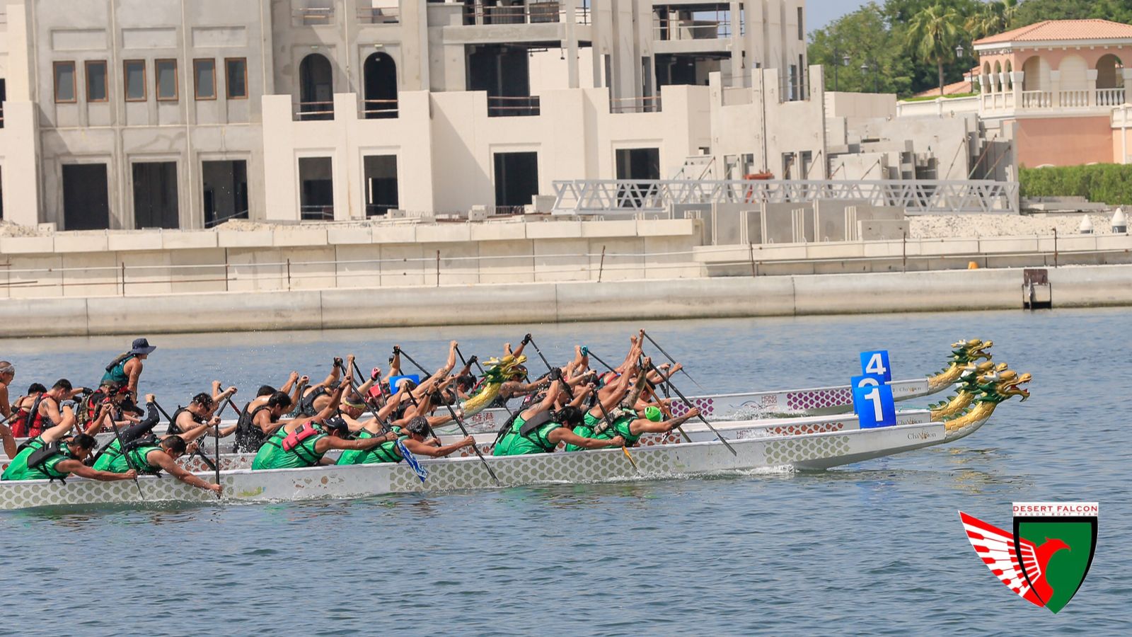Desert Falcons dragon boat team paddling in sync during a competition.